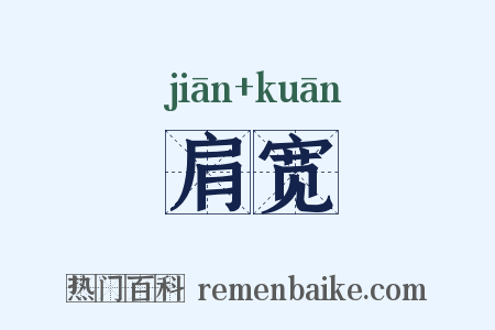肩宽是什么意思的图片